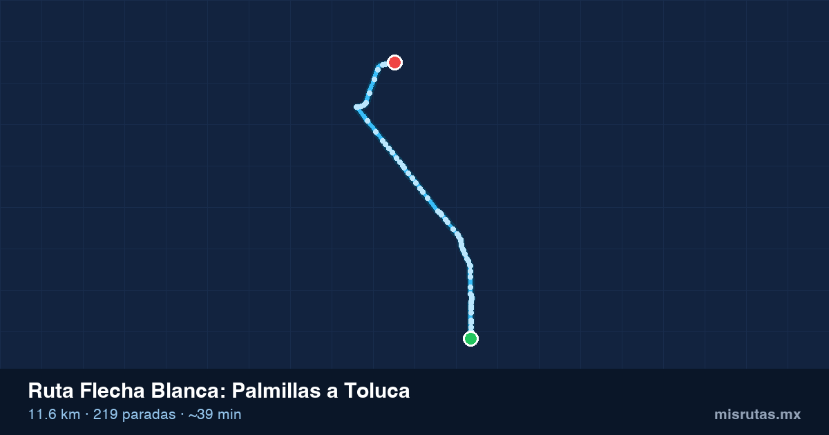 Mapa del recorrido de la ruta Flecha Blanca de Palmillas a Toluca, 11.6 km y 219 paradas